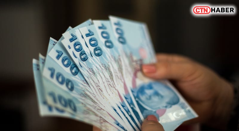 Yeni Emeklilik Sistemi TES ile Çifte Maaş Fırsatı: Tarih 2026 Olarak Belirlendi