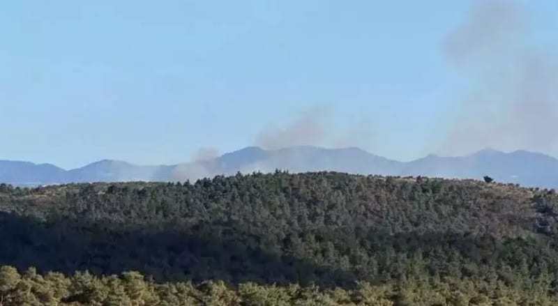 Çanakkale Ezine'de orman yangını! Havadan ve karadan müdahale sürüyor