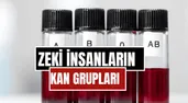 Bilim İnsanlarına Göre En Zeki Kan Grubu Belli Oldu: AB Grubu Öne Çıktı