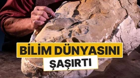 Wyoming'deki Mumyalanmış Dinozorlar Bilim Dünyasını Şaşırttı