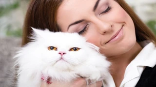 Bilimsel Araştırma: Kediler Gençlerde Empatiyi Artırıyor ve Kaygıyı Azaltıyor