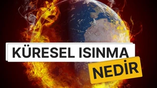 Küresel Isınma Nedir? Neden Olur, Sonuçları Nelerdir ve Gelecekte Bizi Ne Bekliyor?