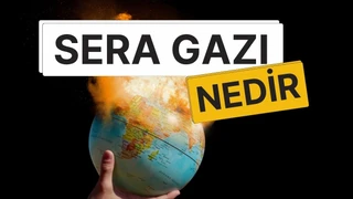 Sera Gazları Nedir? Sera Etkisi Nasıl Oluşur ve İklimi Nasıl Değiştirir?