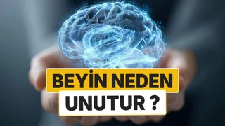Beyin Neden Bazı Anıları Unutur? Bilimsel ve Psikolojik Gerçekler