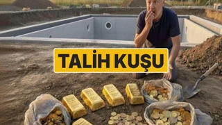 Fransa’da bahçesine havuz kazarken 700 bin euroluk altın buldu