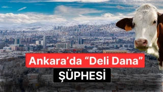 Ankara'da "Deli Dana" Şüphesi: Bilkent Şehir Hastanesi'nden Net Açıklama
