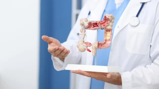 Bağırsaklar İkinci Beyin mi? Mikrobiyomun Sağlığa 5 Etkisi