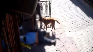 Beyoğlu’nda Sara Nöbeti Geçiren Adamın Eşyalarını Çalan İki Şüpheli Tutuklandı