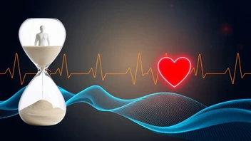 Uzun Yaşamın Sırrı: Bilimin Önerdiği 5 Basit Alışkanlıkla Daha Sağlıklı Bir Günlük Rutine Geçiş