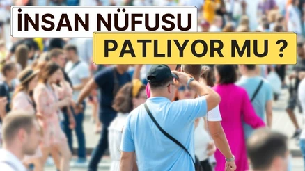 İnsan Nüfusu Patlıyor mu Yoksa Çöküyor mu? 8.2 Milyarlık Dünyada Doğum Oranları, Kaynak Tüketimi ve Nüfus Krizi Gerçeği