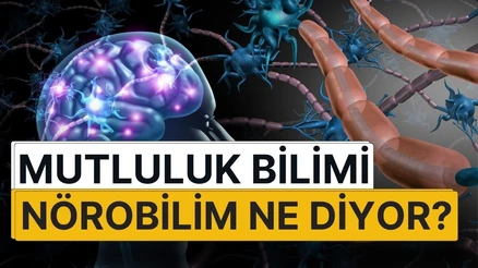 Mutluluk Bilimi: Mutluluk Nedir ? İnsan Beyni Neden Bazı Şeylerle Mutlu Olur?