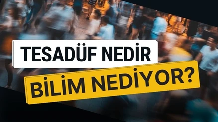 Tesadüf Nedir? Gerçekten Var mı, Yoksa Her Şeyin Bir Nedeni mi Var? Bilim Ne Diyor ?
