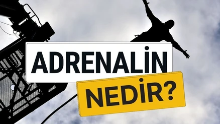 Adrenalin Nedir? Görevleri, Etkileri ve Vücutta Rolü