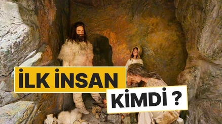 İlk İnsan Kimdi? İnsanlığın Kökeni ve Evrim Süreci