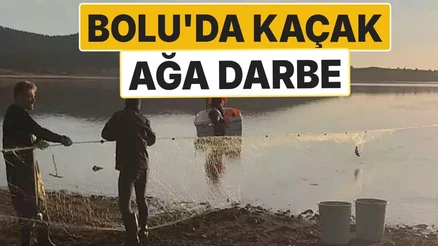 Bolu'da Kaçak Ağa Büyük Darbe: 5 Bin Metrelik Ağ Toplandı, 500 Balık Kurtarıldı