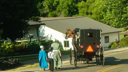 Modern Dünyanın Hastalığı Onlara Uğramıyor: Bilim İnsanları Amişlerin Bağışıklık Sırrını Araştırıyor