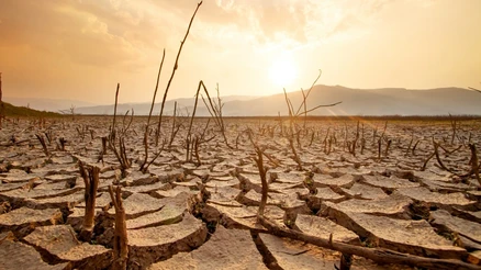 Su Krizi Derinleşiyor: Barajlar Alarm Veriyor, Deniz Suyu Arıtma Çözüm Olabilir mi?