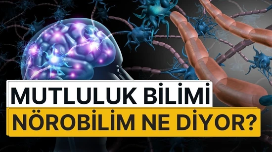 Mutluluk Bilimi: Mutluluk Nedir ? İnsan Beyni Neden Bazı Şeylerle Mutlu Olur?