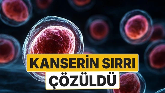 Google'ın Yapay Zekası Kanser Araştırmalarında Çığır Açtı