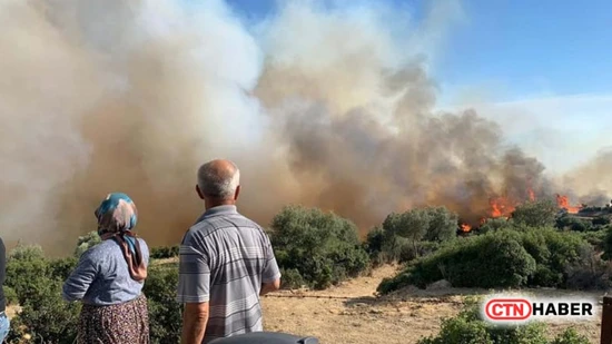 Aydın Söke'de Makilik Alanda Yangın: Havadan ve Karadan Müdahale