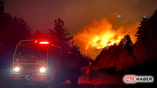 Maltepe'de Orman Yangını: Sevgilisine Sinirlenip Ateşe Yastık Attı