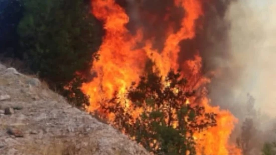 Antalya Manavgat'ta Tarım Arazisinde Çıkan Yangın Ormana Sıçradı