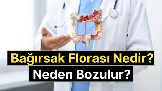 Bağırsak Florası Nedir, Bozulursa Ne Olur? Tedavi Yöntemleri
