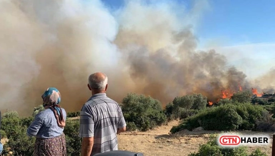 Aydın Söke'de Makilik Alanda Yangın: Havadan ve Karadan Müdahale