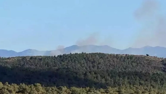 Çanakkale Ezine'de orman yangını! Havadan ve karadan müdahale sürüyor