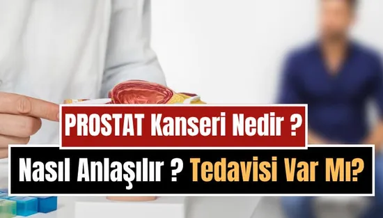 Prostat Kanseri Nedir, Neden Olur, Nasıl Anlaşılır? Belirtileri, Tedavi ve Korunma Yolları
