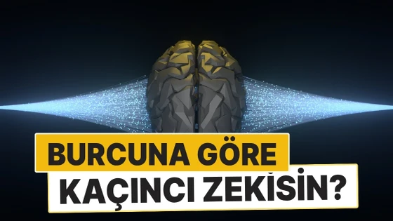 Zeka Testine Gerek Yok! Burçlar Arasında Kaçıncı Zekisin?