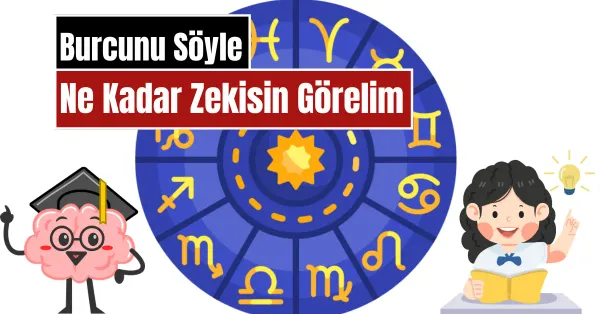 Test Görseli