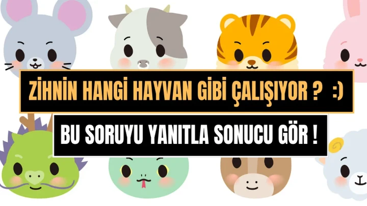 Zihnin hangi hayvan gibi çalışıyor ? Gelin Test edelim