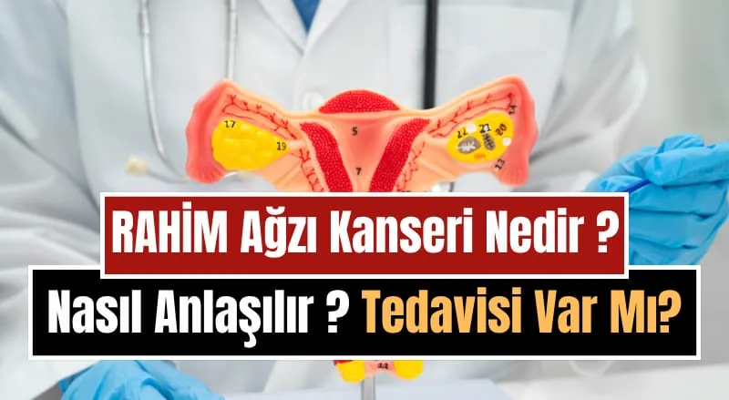 Rahim Ağzı (Serviks) Kanseri Nedir, Nasıl Anlaşılır ve Nasıl Korunulur? Belirtileri, Tedavi ve HPV Aşısı