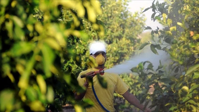 Böcek İlaçları Artık Reçetesiz Satılmayacak: İnternet Satışı Yasak, Cezalar Belli Oldu