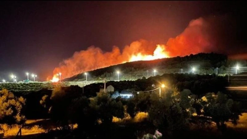İzmir’in Aliağa ilçesinde çıkan orman yangınına hem havadan hem de karadan yoğun müdahale devam ediyor.