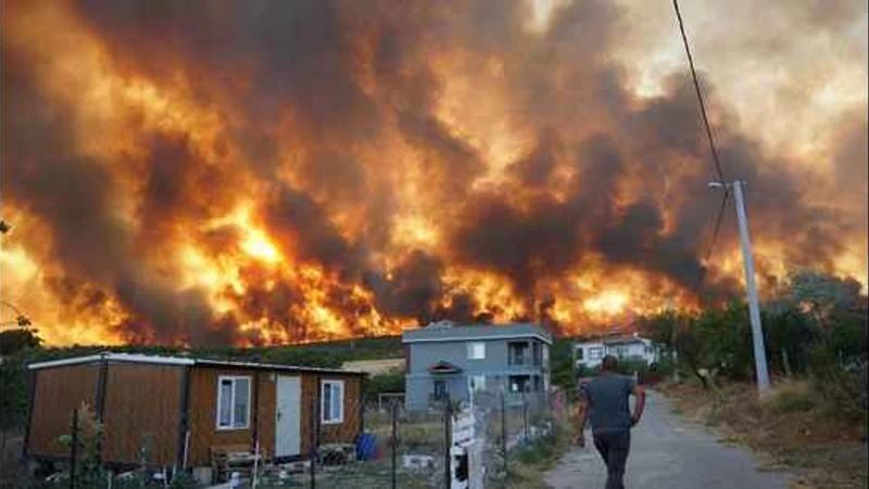 Orman Yangınları Türkiye’yi Sardı: 4 İl Boşaltıldı, Müdahale Sürüyor