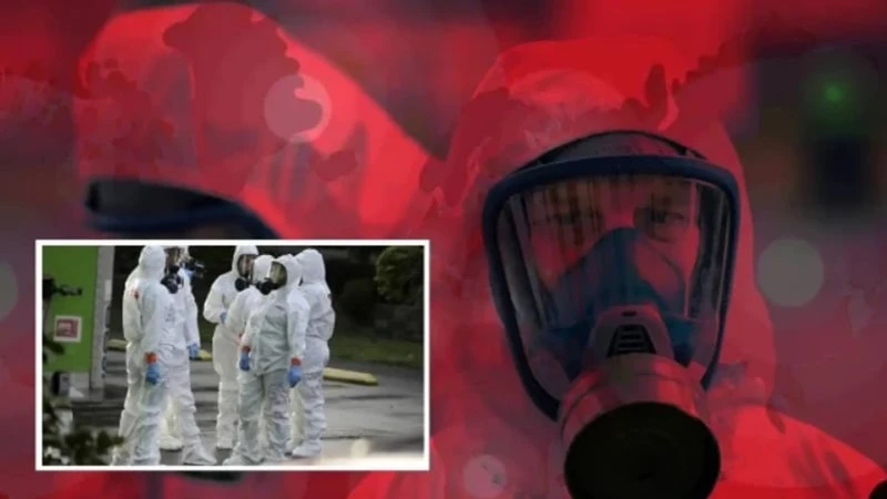 Kara Ölüm Geri Döndü: Kaliforniya'da Veba Vakası Paniğe Yol Açtı