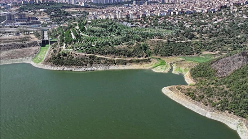 İstanbul'da Son 65 Yılın En Kurak Temmuzu: Barajlarda Su Seviyesi Alarm Veriyor