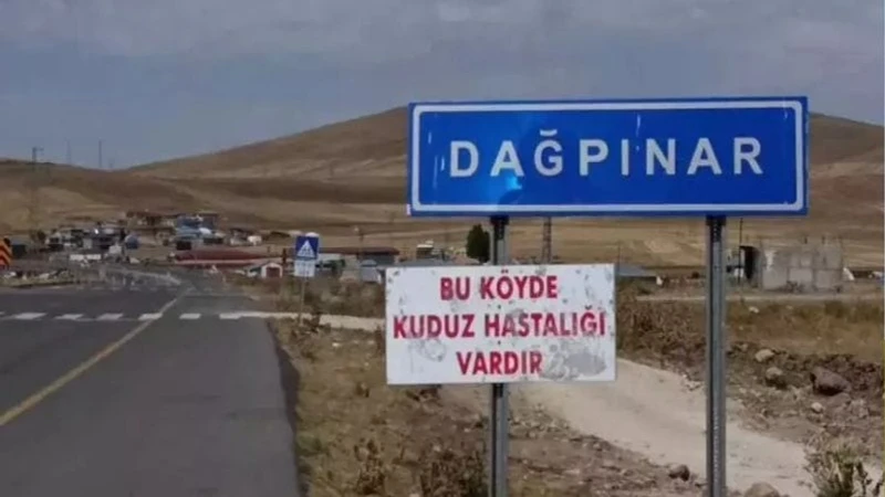 Kars'ta Kuduz Alarmı: Dağpınar Beldesi 6 Ay Karantinada