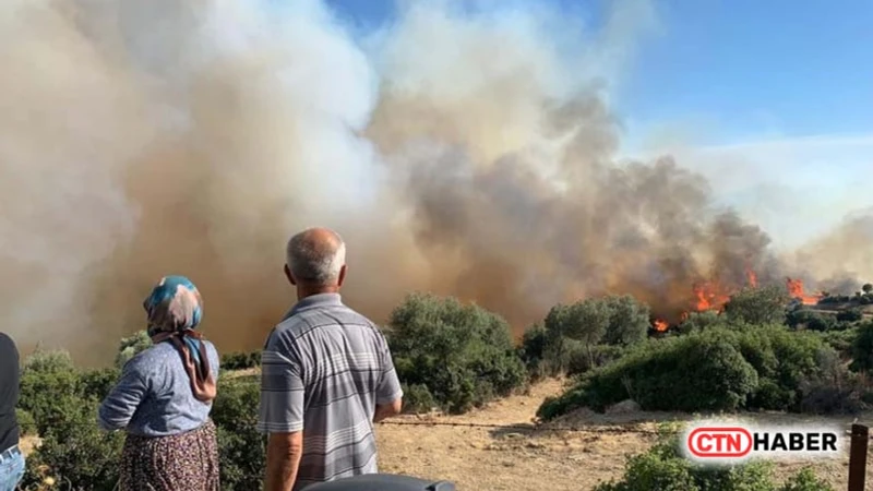 Aydın Söke'de Makilik Alanda Yangın: Havadan ve Karadan Müdahale