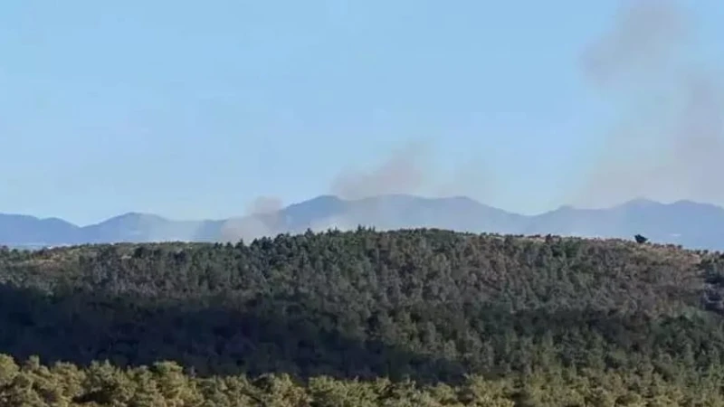 Çanakkale Ezine'de orman yangını! Havadan ve karadan müdahale sürüyor