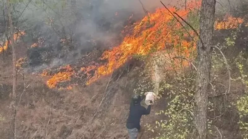 3 İlde Büyük Orman Yangını: Alevler Yerleşim Yerlerini Tehdit Ediyor