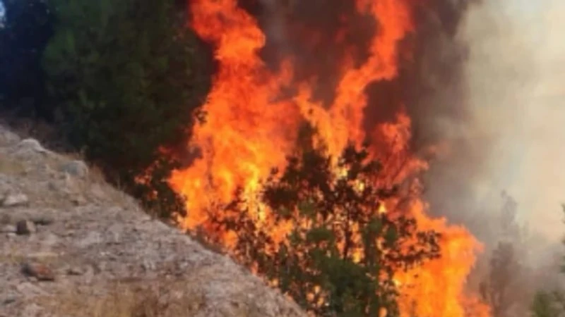 Antalya Manavgat'ta Tarım Arazisinde Çıkan Yangın Ormana Sıçradı