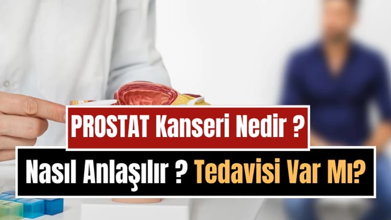 Prostat Kanseri Nedir, Neden Olur, Nasıl Anlaşılır? Belirtileri, Tedavi ve Korunma Yolları
