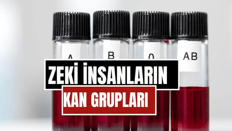 Bilim İnsanlarına Göre En Zeki Kan Grubu Belli Oldu: AB Grubu Öne Çıktı