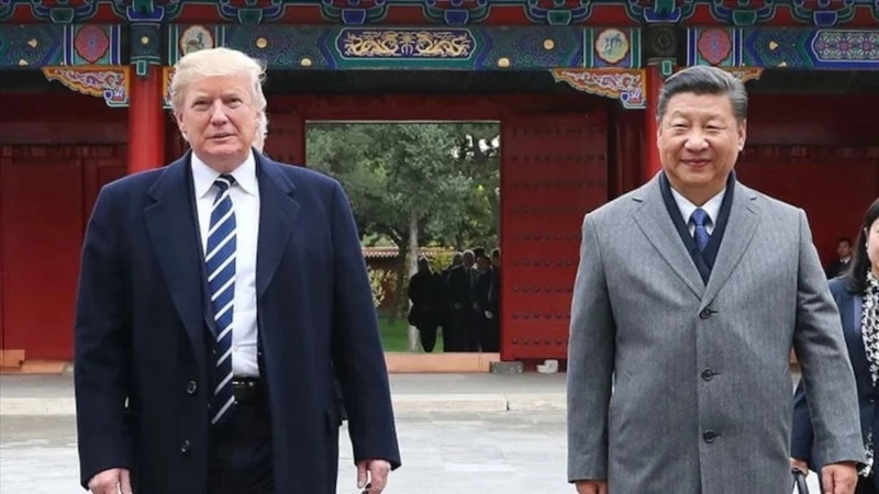 Çin'den Trump–Şi Zirvesi Öncesi Hamle: ABD'den Soya Fasulyesi Alımı Başladı