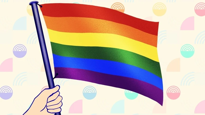 LGBT Ne Demek ? LGBT Bayrağı Hangi Renk ?  LGBTİ, LGBTIQ ve LGBTQ+ Açılımı