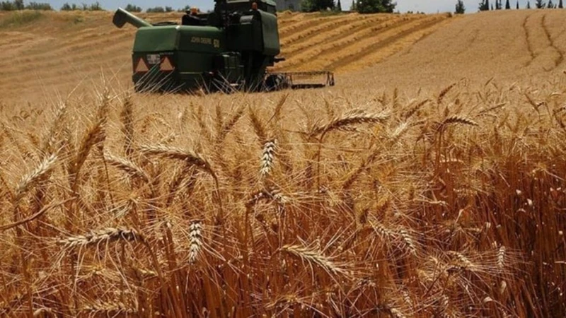 Çiftçi Borç Kıskacında: Depodaki Buğdaya Kadar Haciz Tehlikesi
