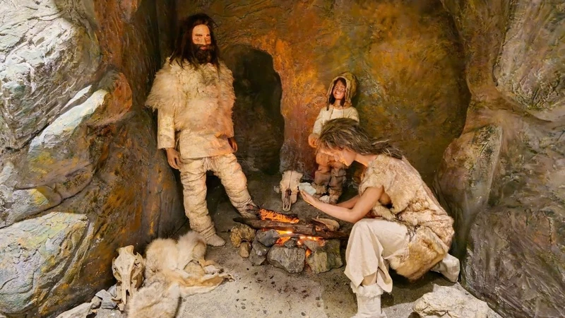 İlk İnsan Kimdi? İnsanlığın Kökeni ve Evrim Süreci